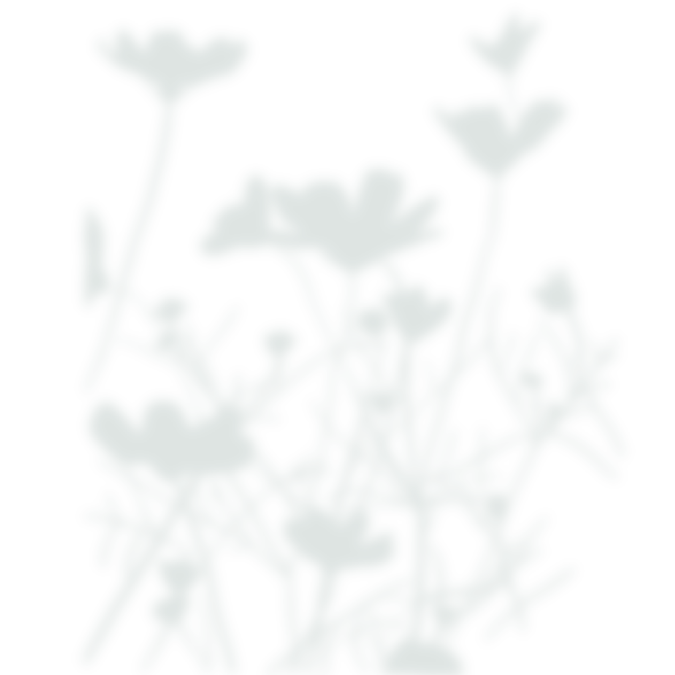 Fond flower